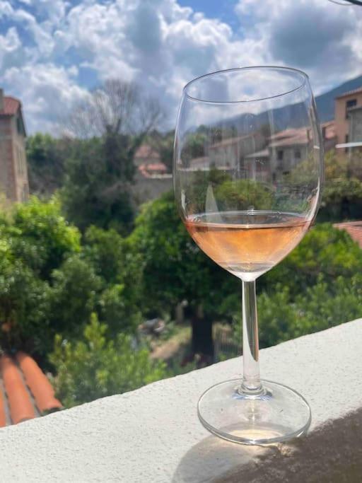 Appartement Neuf, Grande Terrasse Plein Sud Laroque-des-Albères Dış mekan fotoğraf